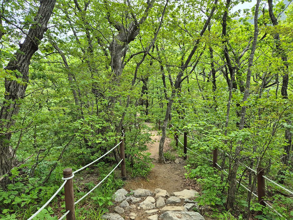 [설악산국립공원] 설악산 공룡능선의 환상적인 일출과 싱그러운 비경을 찾아서