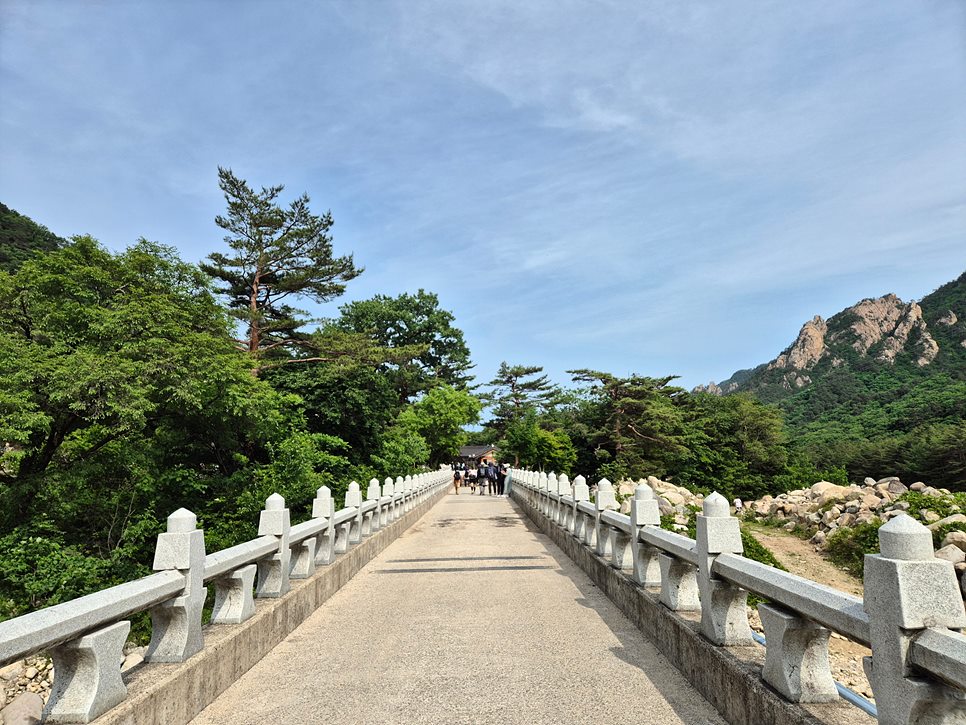 [설악산국립공원] 설악산 공룡능선의 환상적인 일출과 싱그러운 비경을 찾아서