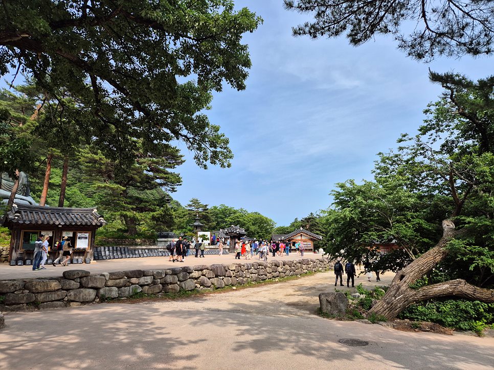 [설악산국립공원] 설악산 공룡능선의 환상적인 일출과 싱그러운 비경을 찾아서