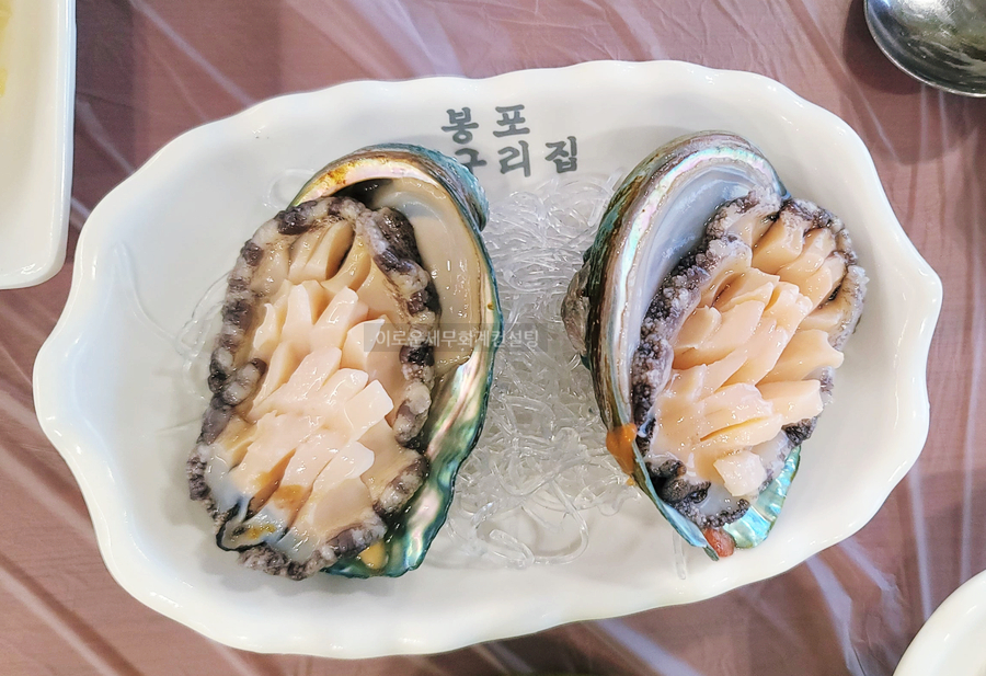 속초 등대해수욕장 근처 물회가 맛있는 봉포머구리집·속초 3대 맛집(모듬물회&모듬회)