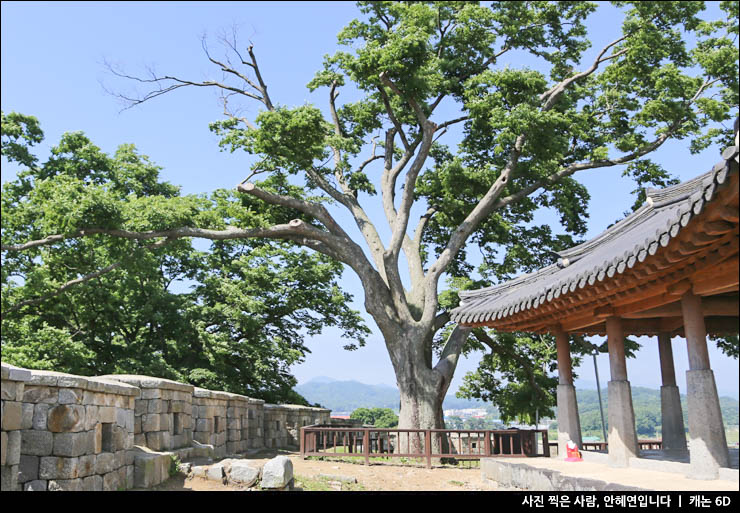 인천여행 강화도 가볼만한곳 강화도 볼거리 연미정