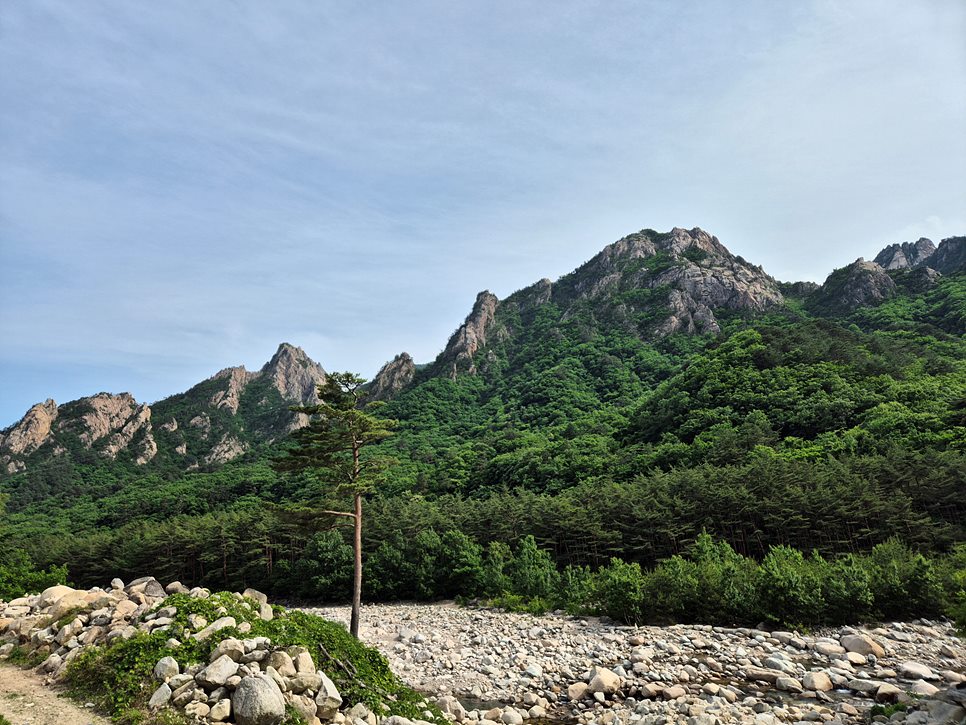 [설악산국립공원] 설악산 공룡능선의 환상적인 일출과 싱그러운 비경을 찾아서