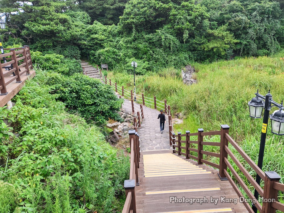 8월 7월 제주도 여행 코스 여름 제주도 가족여행 제주 서귀포 새연교