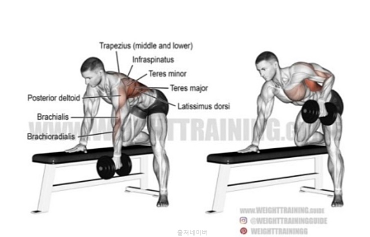 헬스장 남자 여자 등운동 벤트오버 바벨로우 원암 덤벨 로우 자세 팁
