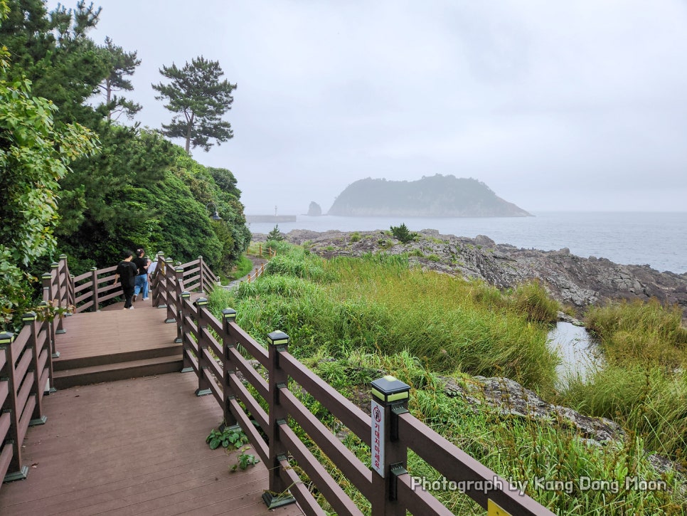 8월 7월 제주도 여행 코스 여름 제주도 가족여행 제주 서귀포 새연교