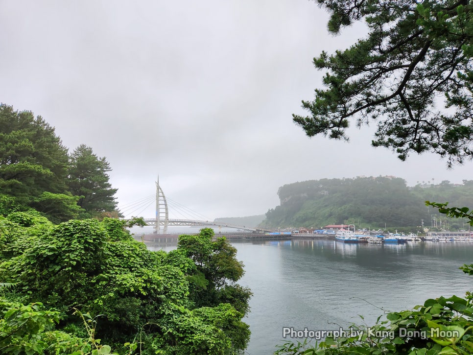 8월 7월 제주도 여행 코스 여름 제주도 가족여행 제주 서귀포 새연교