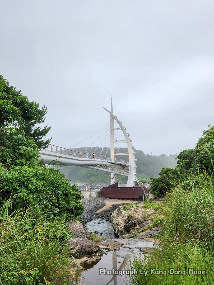 8월 7월 제주도 여행 코스 여름 제주도 가족여행 제주 서귀포 새연교