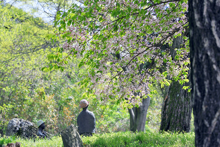 서산 가볼만한곳 봄날 서산 부석사 겹벚꽃 풍경