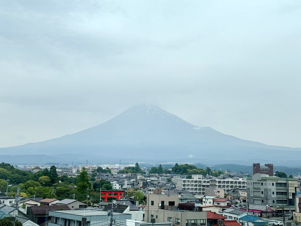 시즈오카 후지노미야 <후지산 세계유산센터> 富士山 世界遺産センター