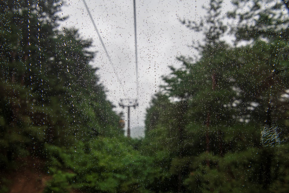 [팔공산국립공원] 비오는날 찾은 팔공산케이블카와 도학야영장