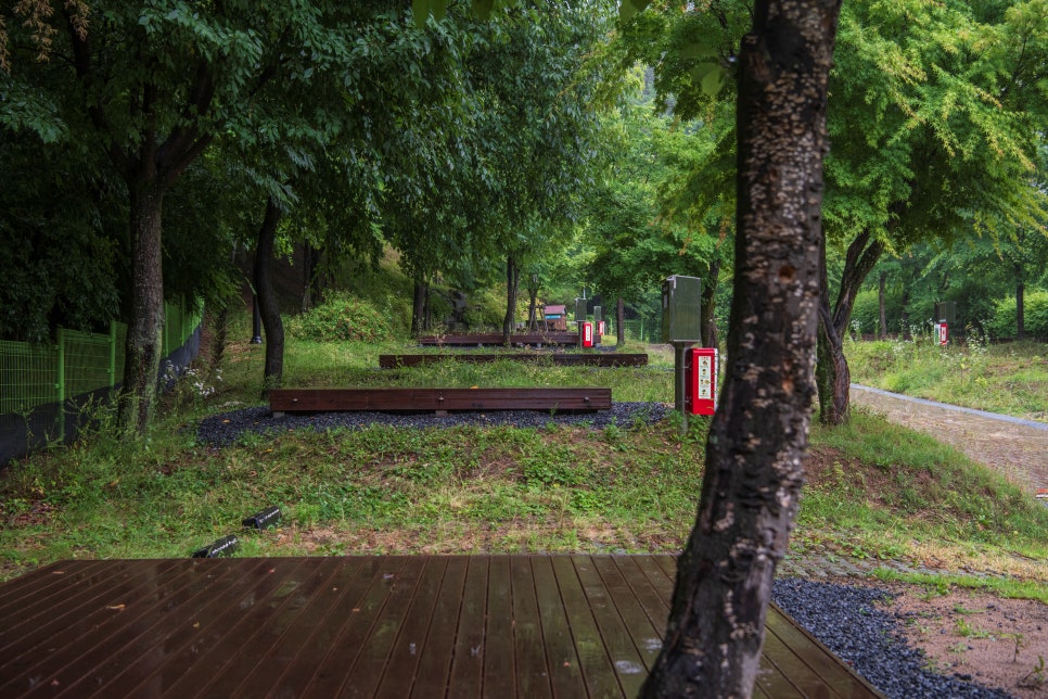 [팔공산국립공원] 비오는날 찾은 팔공산케이블카와 도학야영장