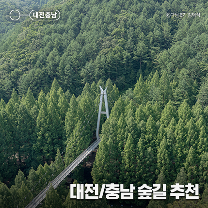 대전/충남 여행, 나무 그늘 아래 걷기 좋은 숲길 추천 4
