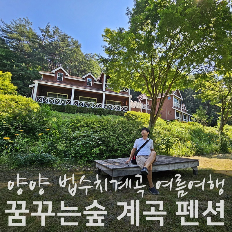 양양 법수치계곡 펜션 자연 속 여름 여행지 추천