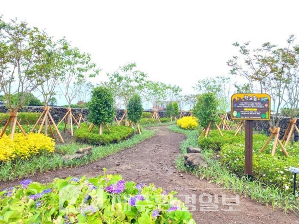 제주시, 구좌중앙초·귀덕초 학교 숲 조성 완료