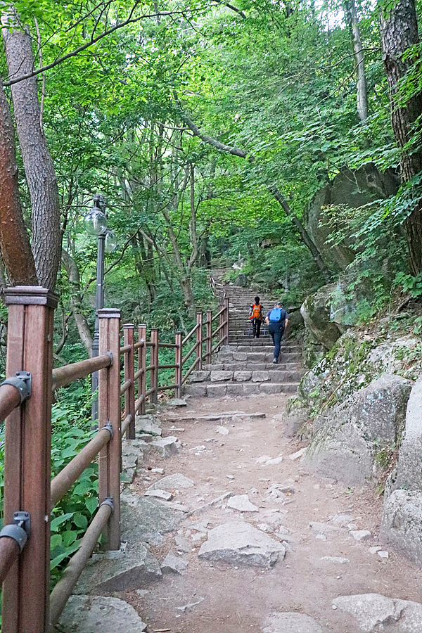 [팔공산국립공원] 팔공산 갓바위 앞길 등산코스