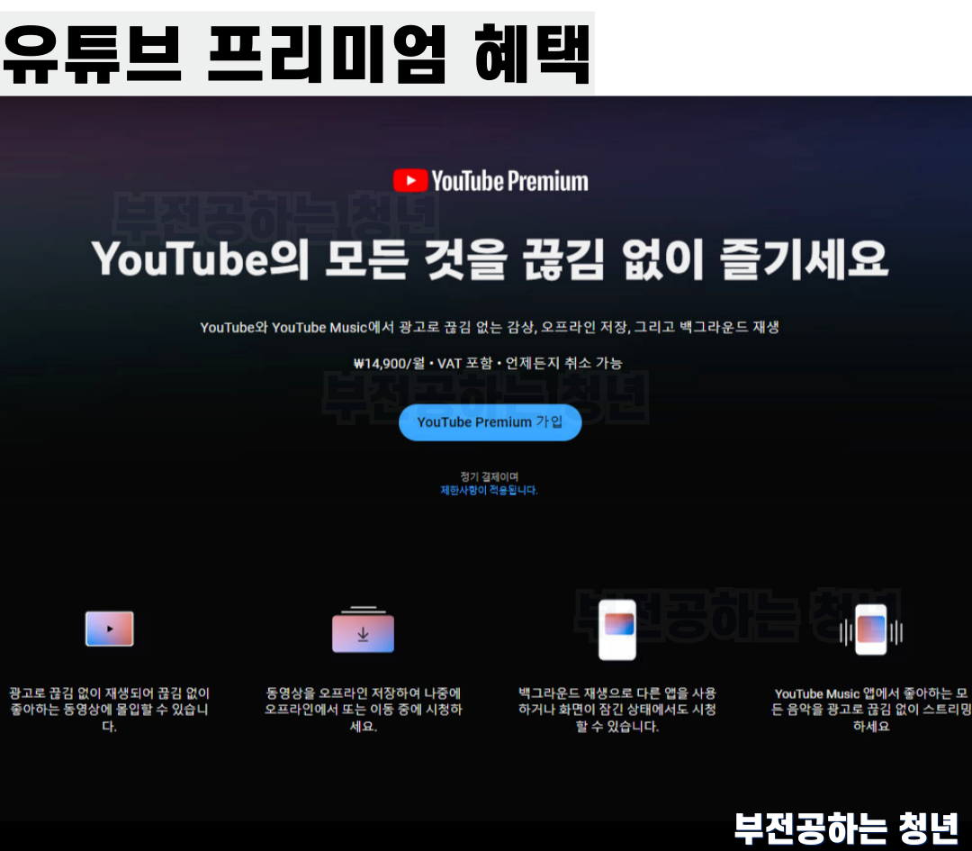 유튜브 프리미엄 우회 가격 막힘 해결 방법 아르헨티나, 가나