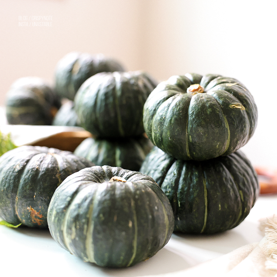 제주 단호박 찌는 법 전자레인지 찜기 비교 미니밤호박 보관 방법