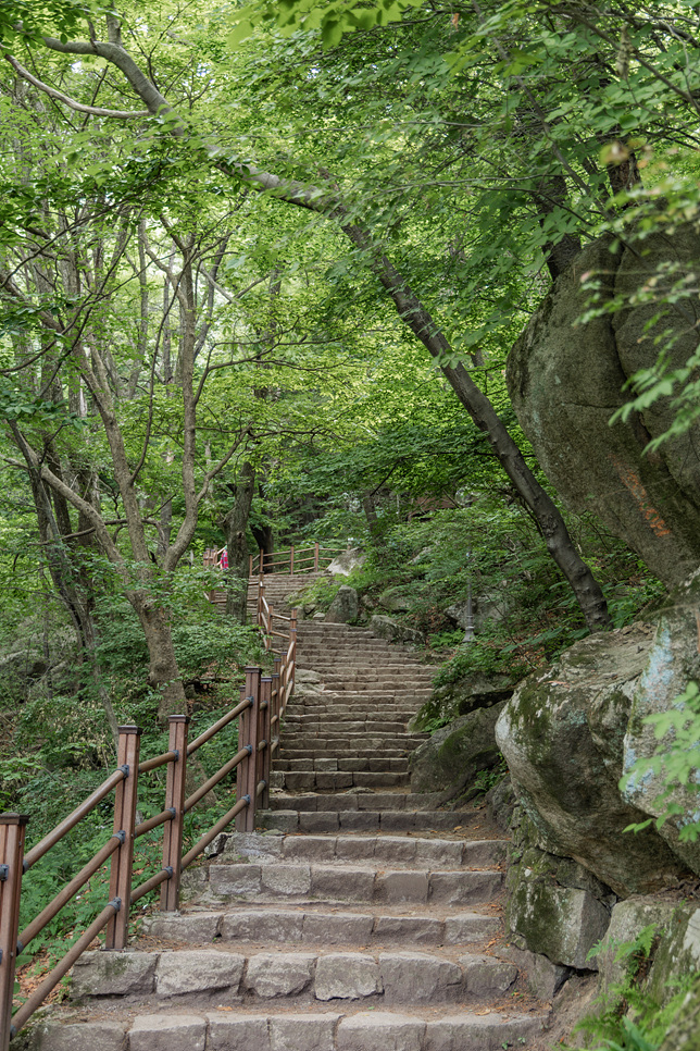 팔공산 등산코스 대구 갓바위 관봉 선본사까지