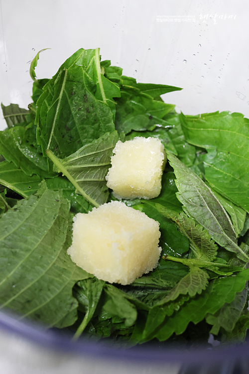 바질페스토 대신 깻잎페스토 만들기 깻잎요리 레시피
