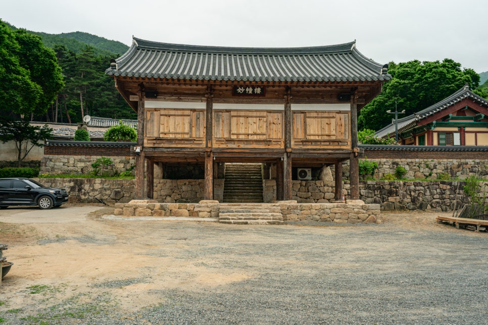 [팔공산국립공원] 천년고찰 북지장사 소나무숲 둘레길 걸으며 역사 산책