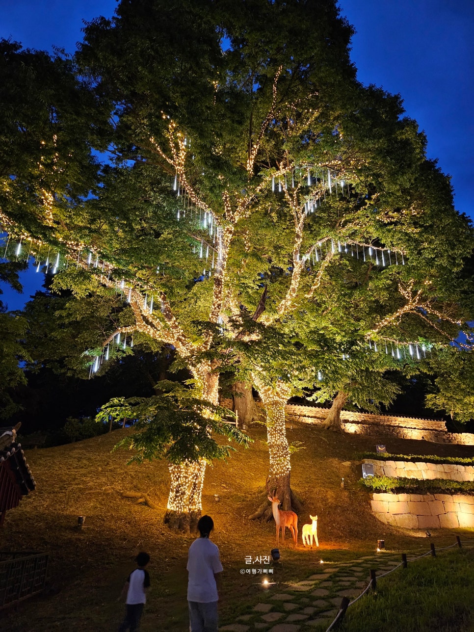 괴산 괴강불빛공원 밤에 가볼만한곳 추천 야경도 보는 무료관광지