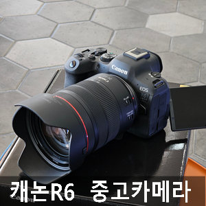 용산카메라 캐논R6 중고카메라 가격 알아봤어요