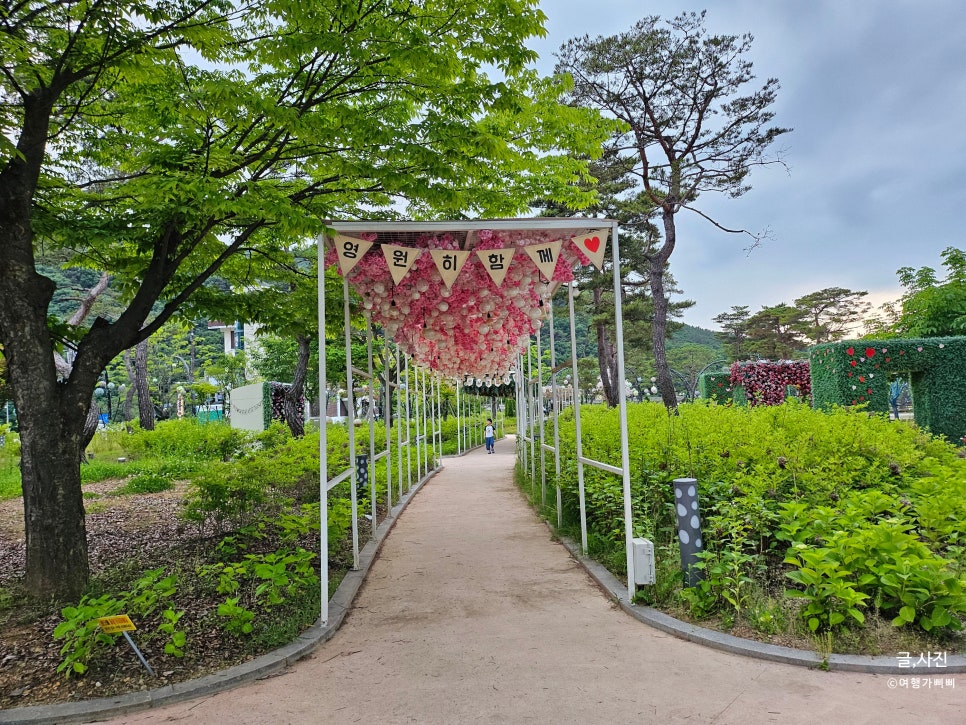 괴산 괴강불빛공원 밤에 가볼만한곳 추천 야경도 보는 무료관광지