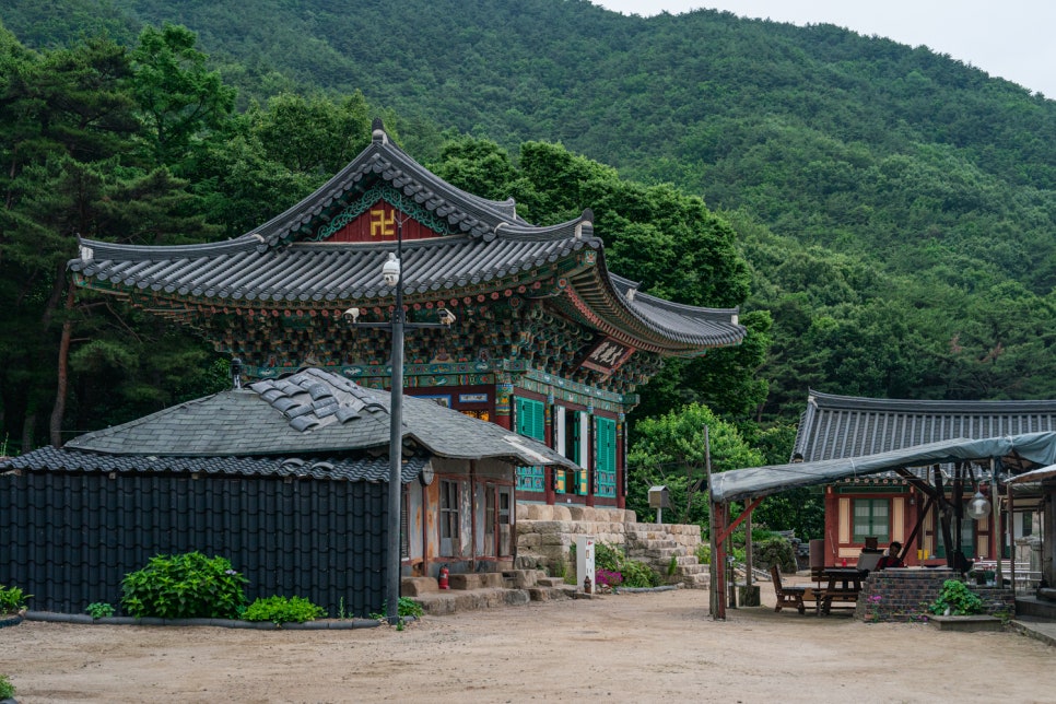 [팔공산국립공원] 천년고찰 북지장사 소나무숲 둘레길 걸으며 역사 산책