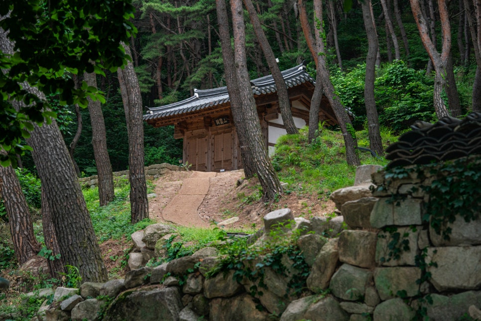 [팔공산국립공원] 천년고찰 북지장사 소나무숲 둘레길 걸으며 역사 산책