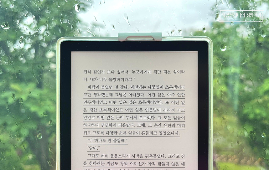 청소년소설 도서추천 여름을 한 입 베어물었더니 성장소설