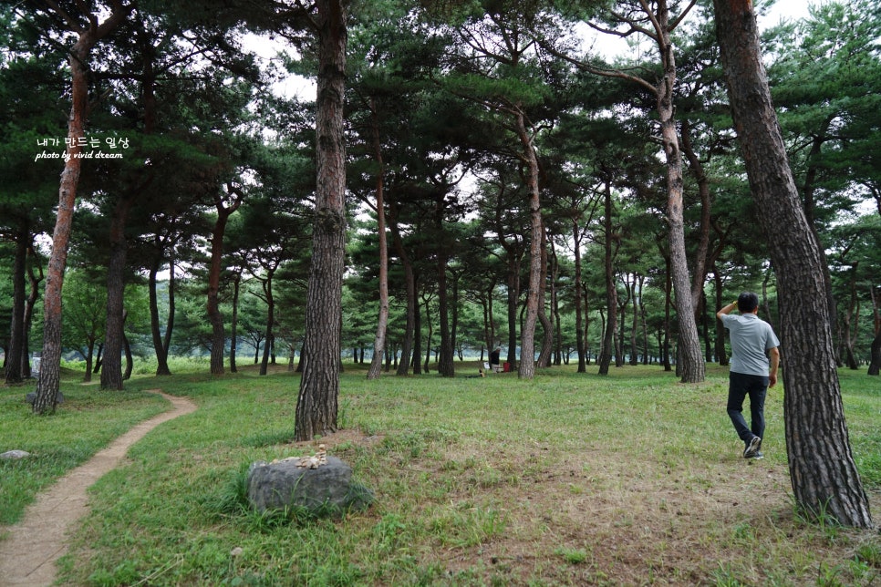 공주 가볼만한곳 산성시장 공산성 무령왕릉 국립공주박물관 외 원도심 여행코스