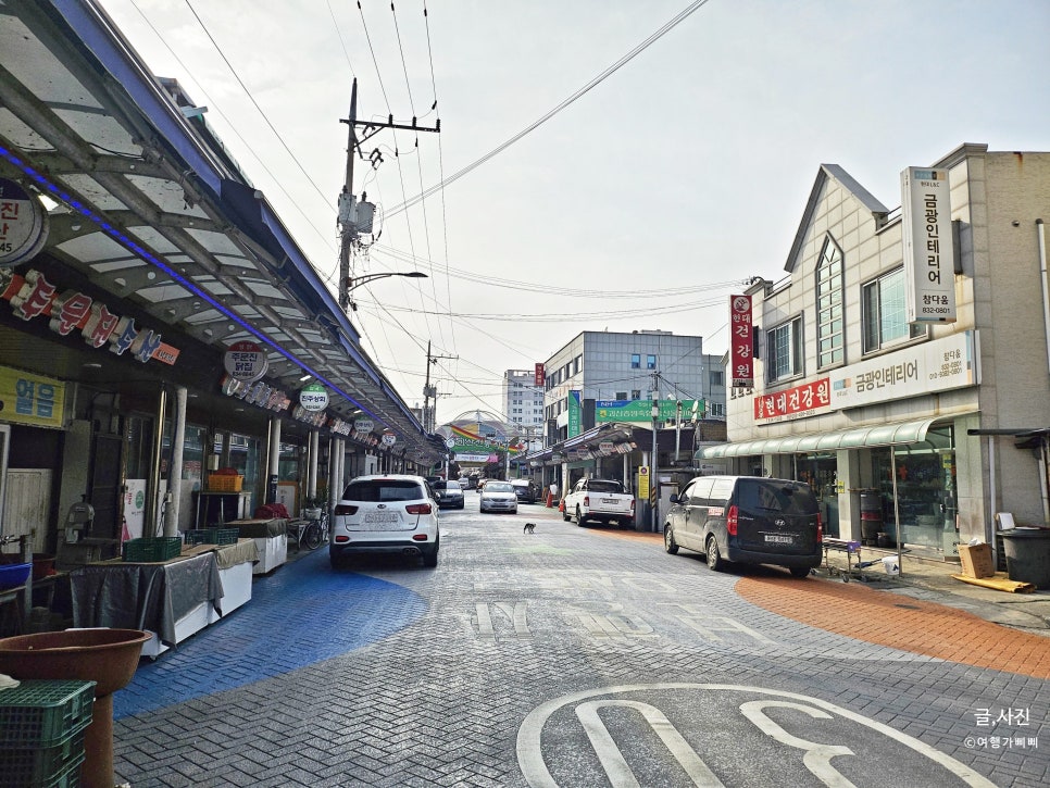 괴산전통시장 오일장 시외버스터미널 거리 나들이