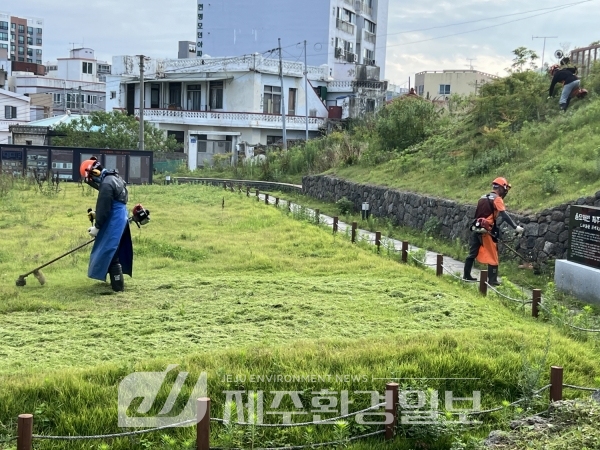제주문화유산돌봄센터, 무더위 속 운주당지구 문화유산 돌봄활동