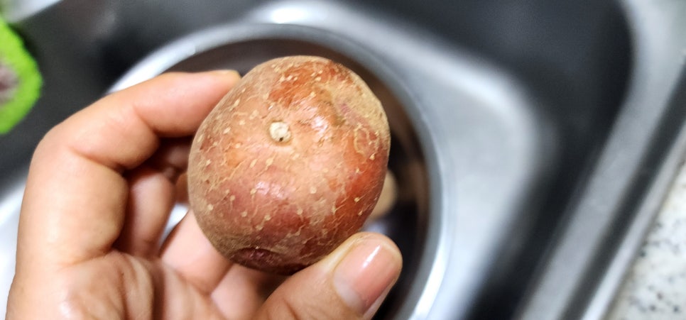 홍감자삶는법 감자삶는방법 아이들간식 냄비 감자삶기 감자삶는시간 홍감자요리