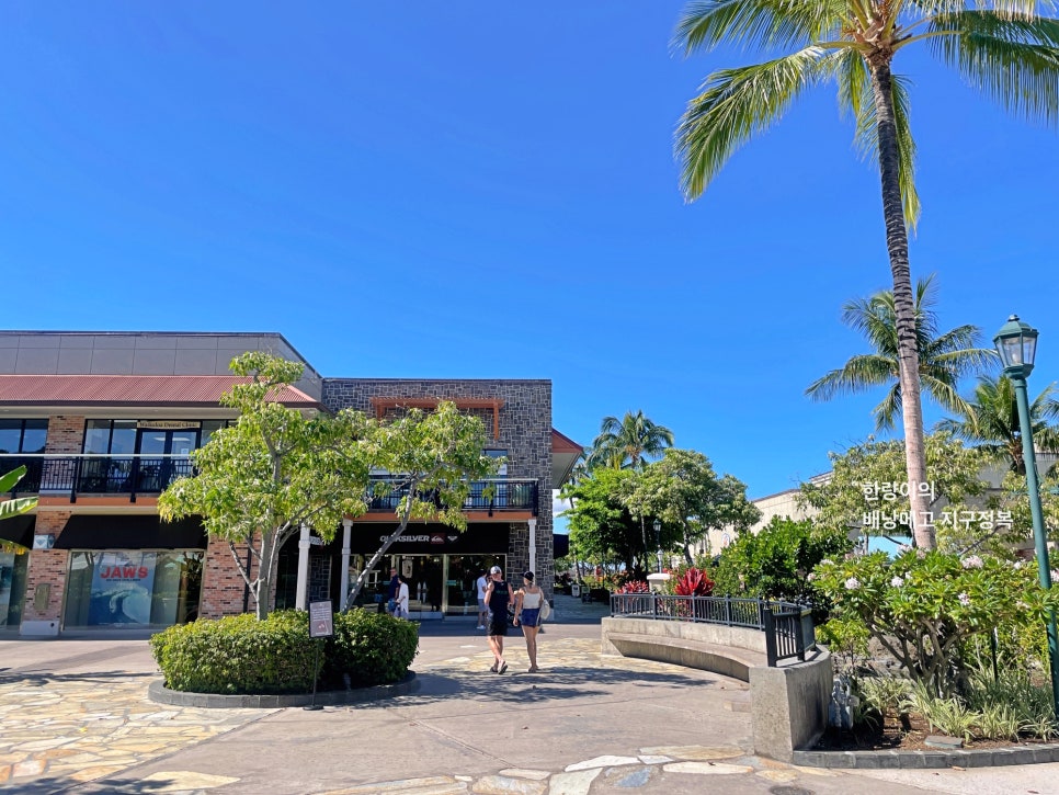 하와이 빅아일랜드 여행 퀸즈마켓 플레이스 쇼핑 와이콜로아 힐튼 호텔