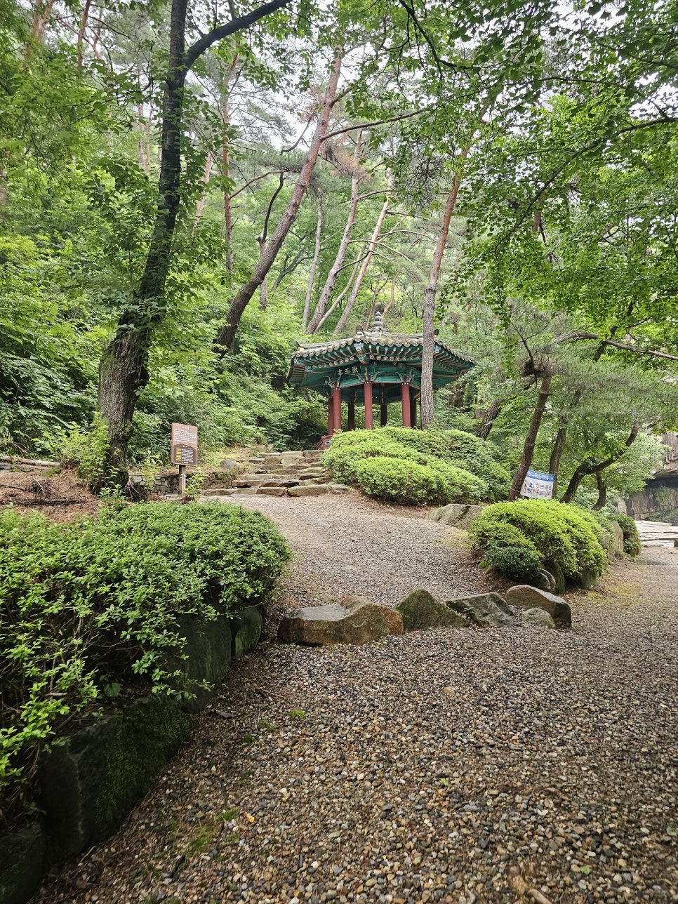 충북 여행지 괴산 가볼만한곳 수옥정 수옥폭포 원풍저수지 비오는날 여행