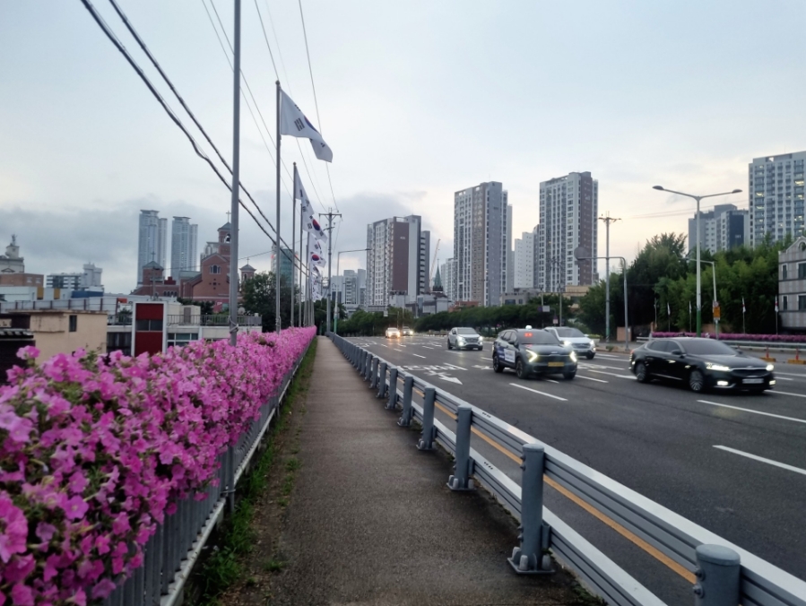 7월 둘째주 일상 대구 당일치기 여행 점심 약속 불금