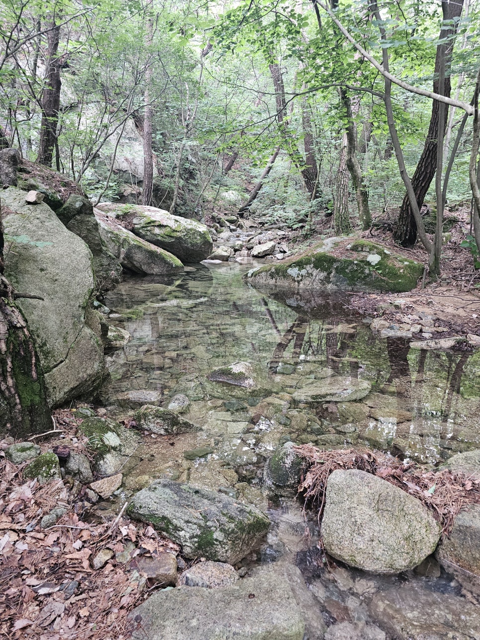 충북 가볼만한곳 괴산 여행 속리산국립공원 칠보산 입구 각연사 괴산계곡