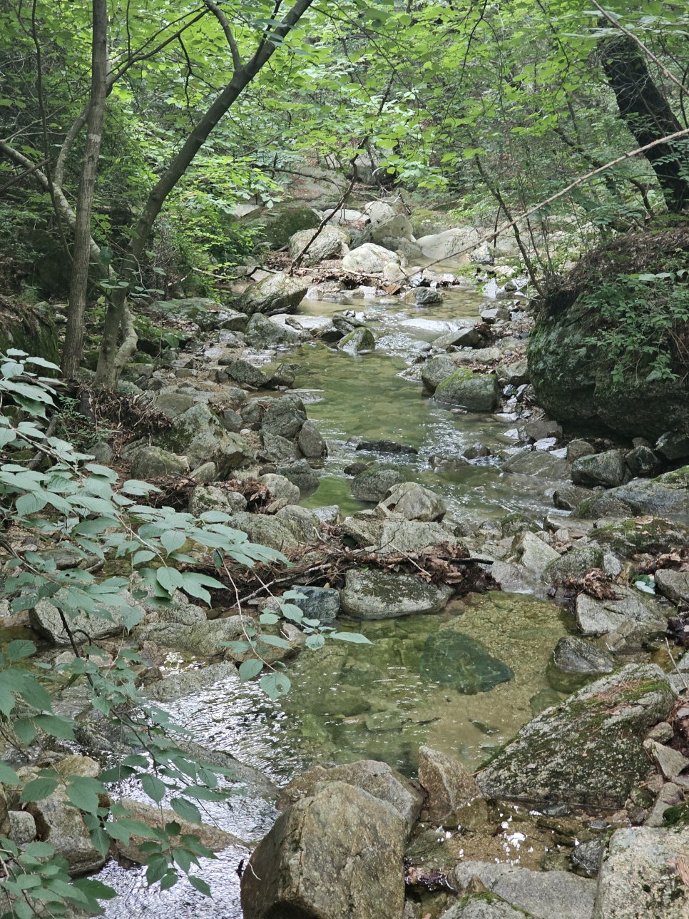 충북 가볼만한곳 괴산 여행 속리산국립공원 칠보산 입구 각연사 괴산계곡