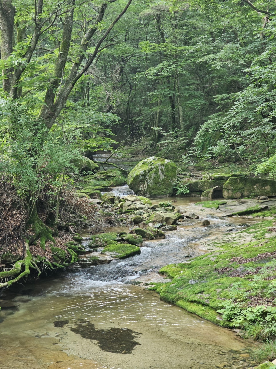 충북 가볼만한곳 괴산 여행 속리산국립공원 칠보산 입구 각연사 괴산계곡