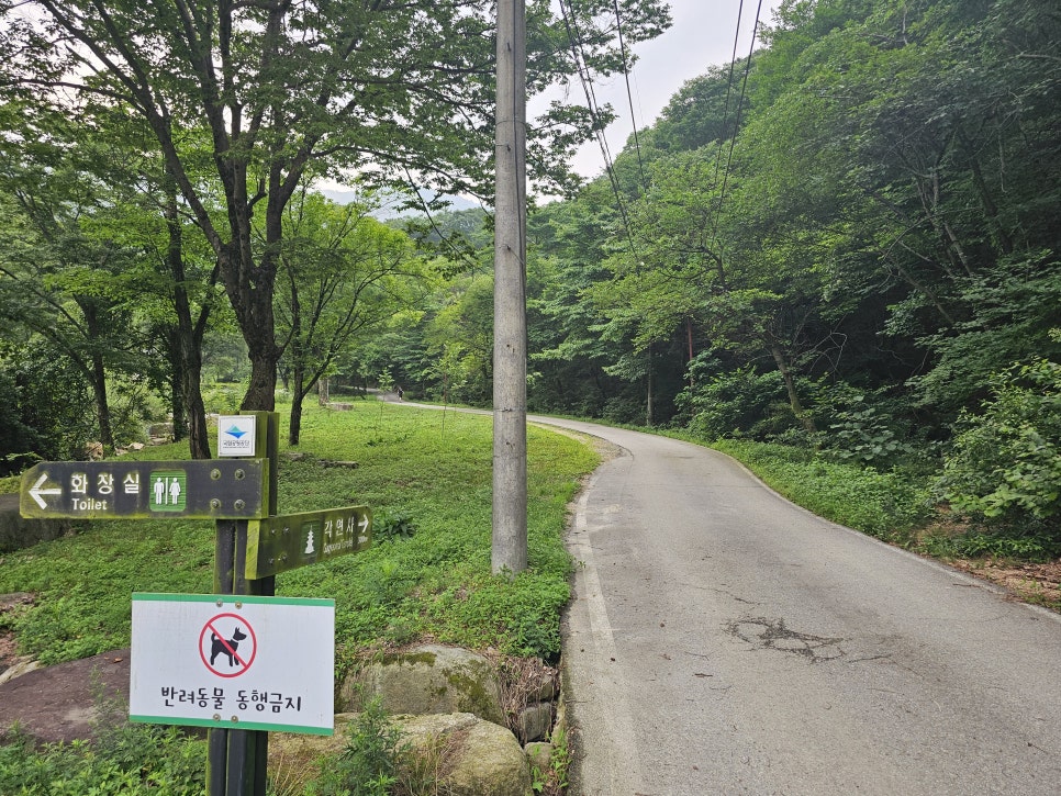 충북 가볼만한곳 괴산 여행 속리산국립공원 칠보산 입구 각연사 괴산계곡