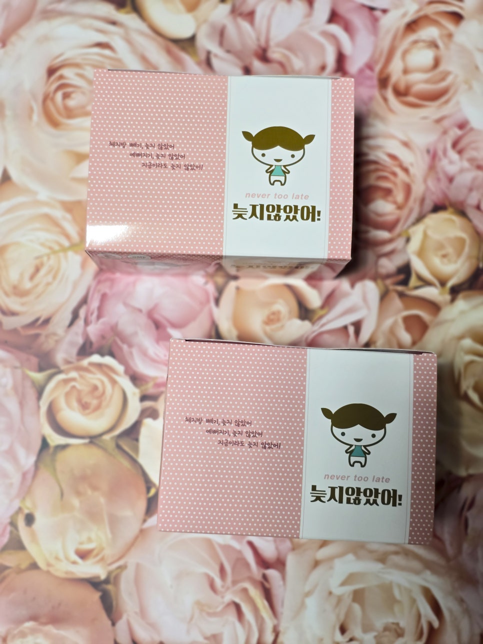 다이어트약 뱃살빼는법 늦지않았어 후기