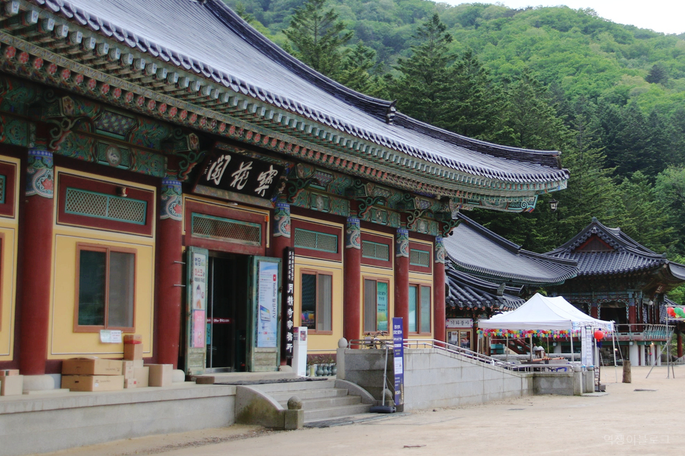 강원도 평창 가볼만한곳 여름 평창 여행 코스 BEST 5