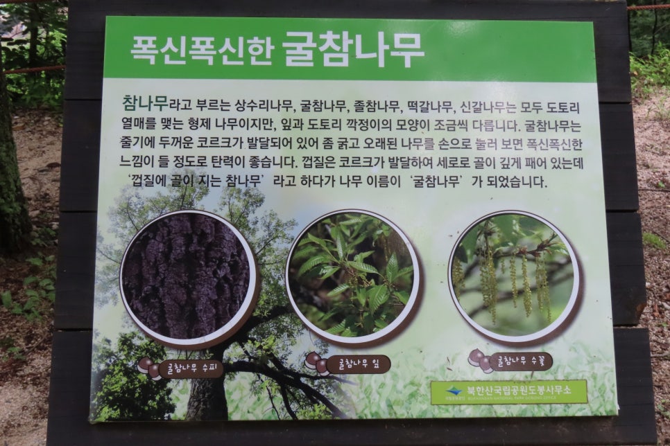 [북한산국립공원] 북한산둘레길 16~18구간 탐방