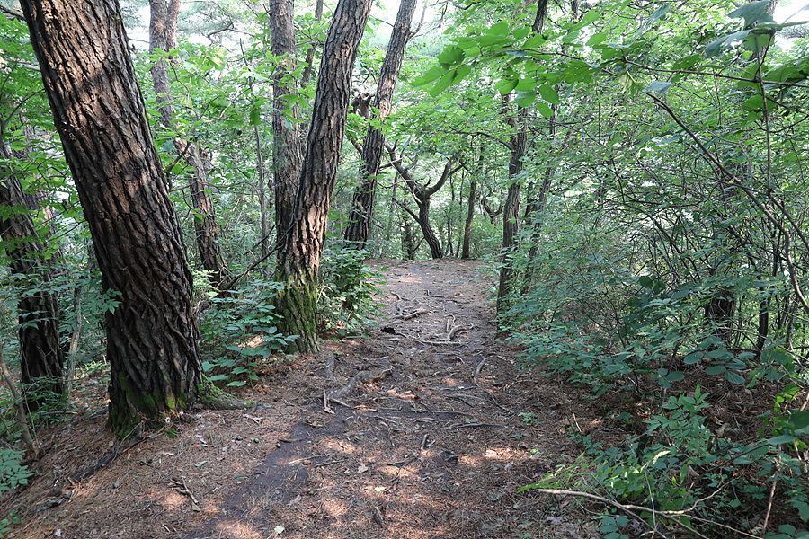 [월악산국립공원] 다양한 선택이 있는 여름 산행지 구담봉 옥순봉 추천