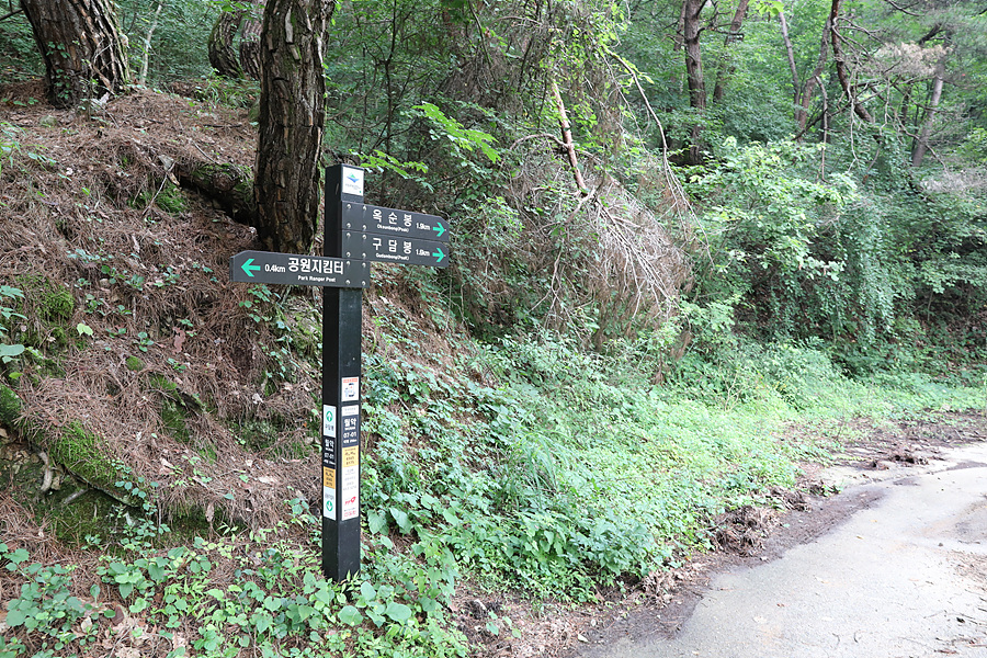 [월악산국립공원] 다양한 선택이 있는 여름 산행지 구담봉 옥순봉 추천