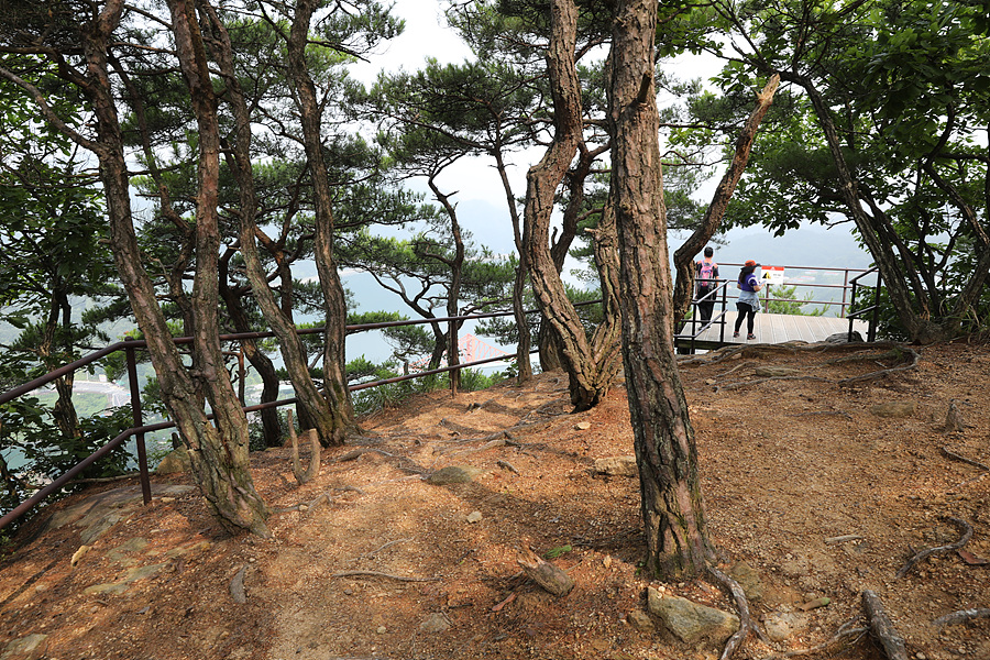 [월악산국립공원] 다양한 선택이 있는 여름 산행지 구담봉 옥순봉 추천