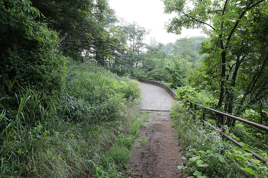 [월악산국립공원] 다양한 선택이 있는 여름 산행지 구담봉 옥순봉 추천