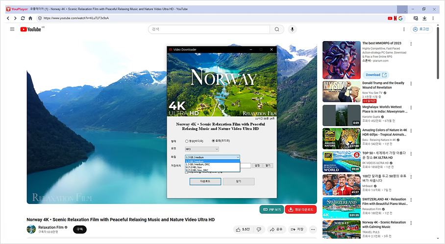 유튜브 동영상 다운로드 음원 추출 프리미엄 대체 유플레이어로 광고 차단 PIP 시청까지