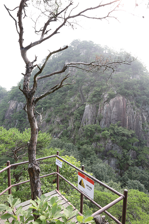 [월악산국립공원] 다양한 선택이 있는 여름 산행지 구담봉 옥순봉 추천